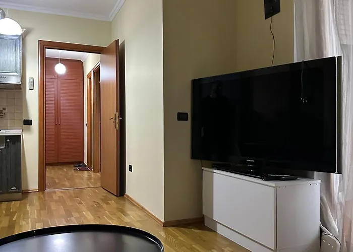 Robisa's Haven Apartament Tirana